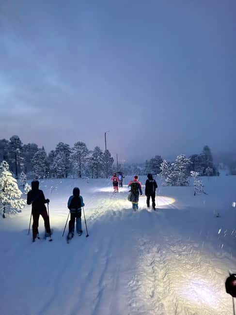 Tromsø: Artic Terrain Snowshoe Expedition with Local Guides - Meeting up in Tromsø: hotel pickup that saves your energy