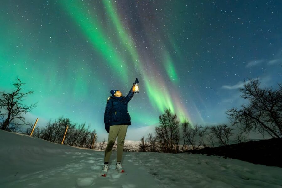 Tromsø: Aurora Borealis, Campfire, Hot Meal, Arctic Tour - The drive is part of the show (and motion sickness is real)
