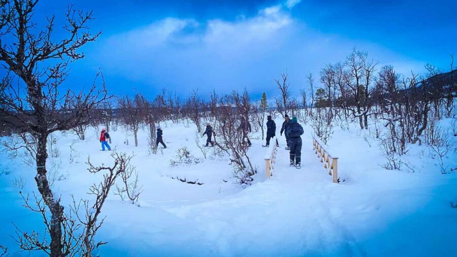 Tromsø: Aurora Crystal Lavvo Experience with Snowshoeing - Sleeping in a Crystal Lavvo: The Warmth, the View, and the Wood Fire Task