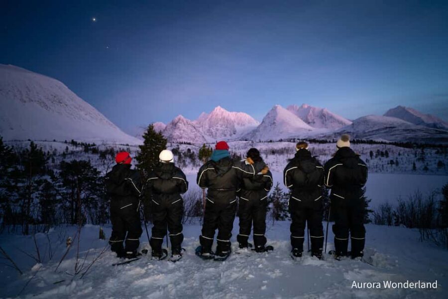 Tromsø: Aurora Crystal Lavvo Experience with Snowshoeing - Meals That Keep You Warm: Fish Soup, Dinner, and a Norwegian Breakfast