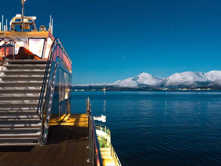 Tromsø: Aurora Dinner Cruise by Hybrid-Electric Catamaran - The first stop: a view point plus food tasting in Arctic air