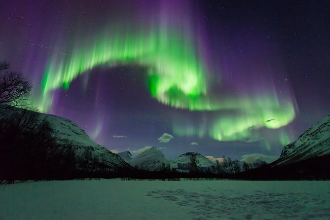 Tromso Aurora Hunt with Bonfire, Soup, Winter Gear & Transfers - Timing, Driving, and the Small-Group Reality (Max 15)