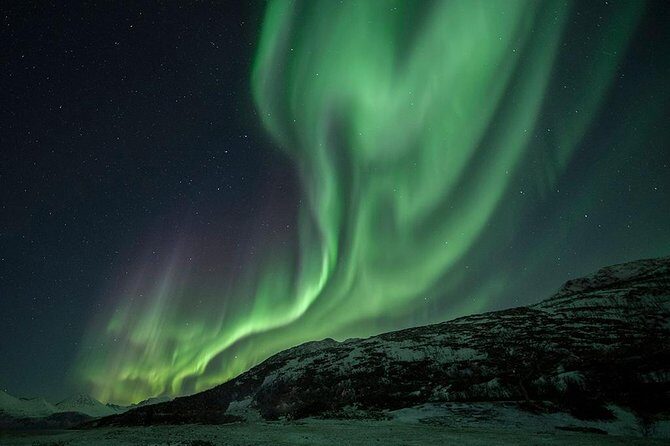Tromso Aurora Hunt with Bonfire, Soup, Winter Gear & Transfers - Toilets and Comfort: What to Expect When You’re Off the Grid