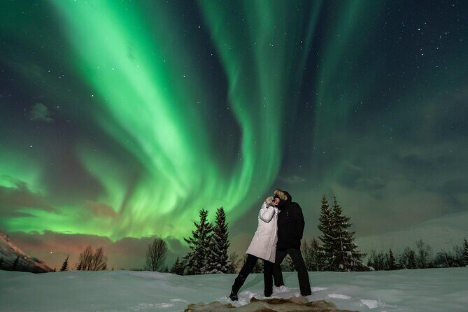Tromsø: Aurora Magic Northern Lights Tour with Photos - Price and value: $182.90 per person, what you actually get