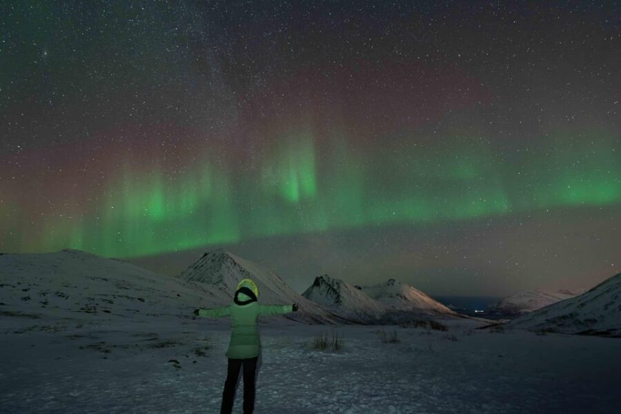Tromsø: Aurora Tour with Photos, Campfire and Arctic Food - Price and Value: Why $304 Can Make Sense Here