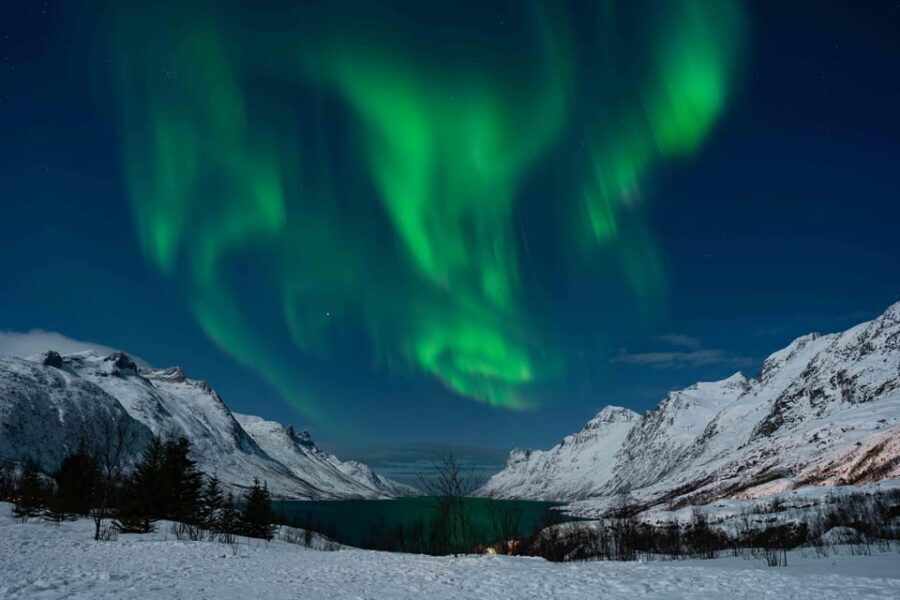 Tromsø: Aurora Tour with Photos, Campfire and Arctic Food - Homemade Chai: The Owner-Made Detail That People Remember