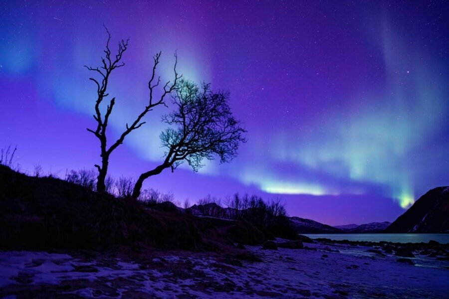 Tromsø: Aurora Tour with Photos, Campfire and Arctic Food - Photo Stops and Aurora Photography Help (Not Just Point-and-Shoot)