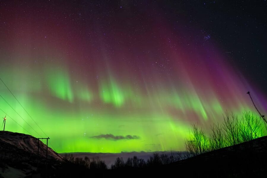 Tromsø: Aurora Tour with Photos, Campfire and Arctic Food - Warmth and Safety: What’s Provided, What You Still Need