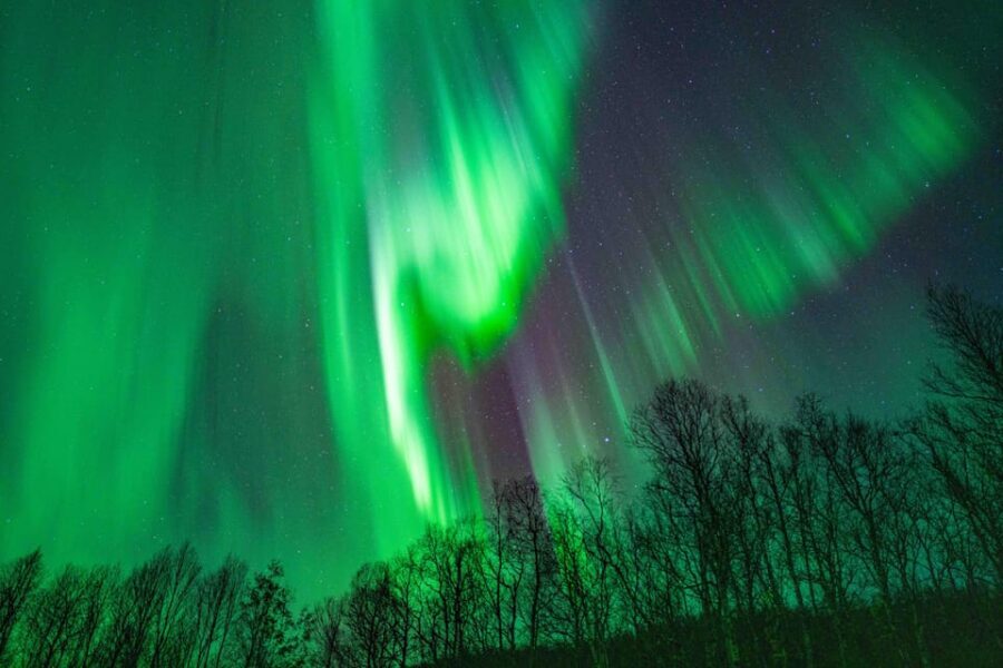 Tromsø: Aurora Tour with Photos, Campfire and Arctic Food - What the 7-Hour Duration Really Means for Your Night