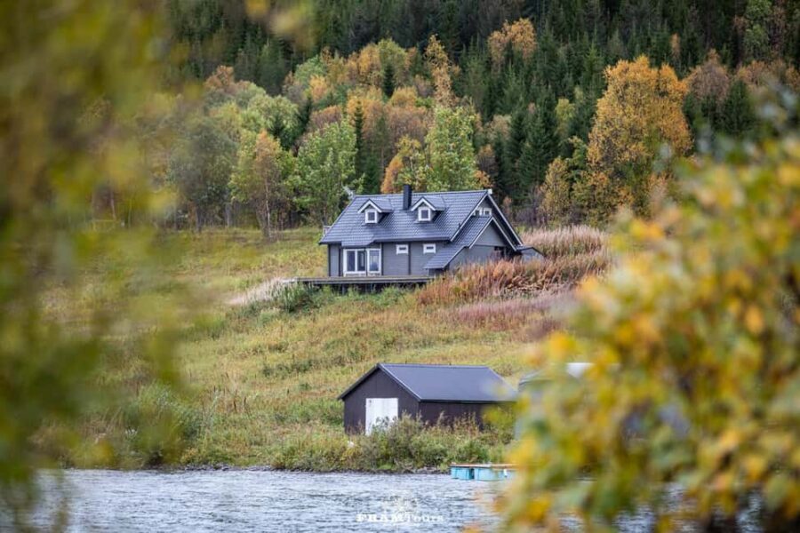Tromsø: Authentic Lyngen Alps expedition with scenic lunch - Wildlife moments you can’t fully schedule