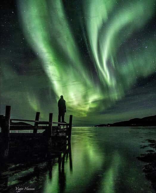 Tromsø: Big Bus Northern Lights Tour with Free Photos - What Your Evening Looks Like: Driving, Stops, Then Waiting