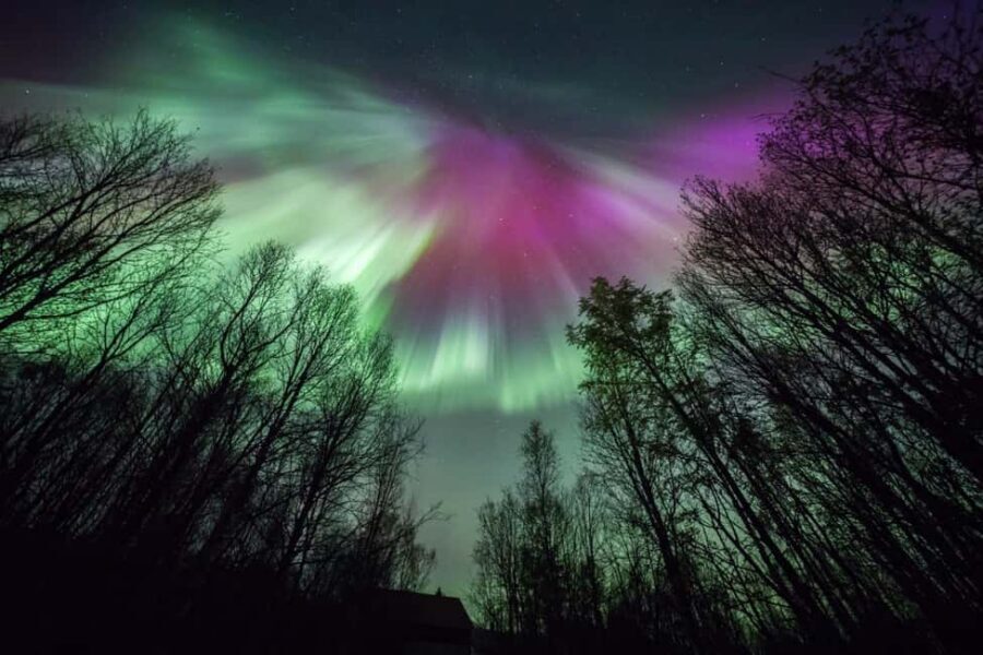 Tromsø: Big Bus Northern Lights Tour with Free Photos - Campfire Intermission: Warmth, Marshmallows, and Stories