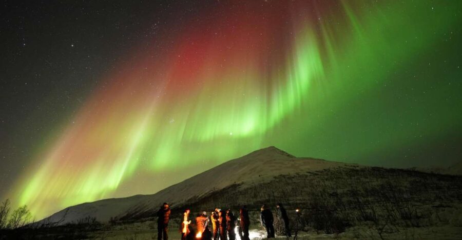 Tromsø: Chase Aurora in Minibus and Free Aurora Portrait - Key things to know before you go