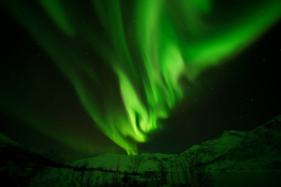 Tromsø: Chase Aurora in Minibus and Free Aurora Portrait - Price and value: what $141 includes (and why it matters)