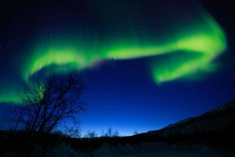 Tromsø Chinese Aurora Tour - Warm breaks in Arctic cold: the bonfire, sausages, and hot chocolate