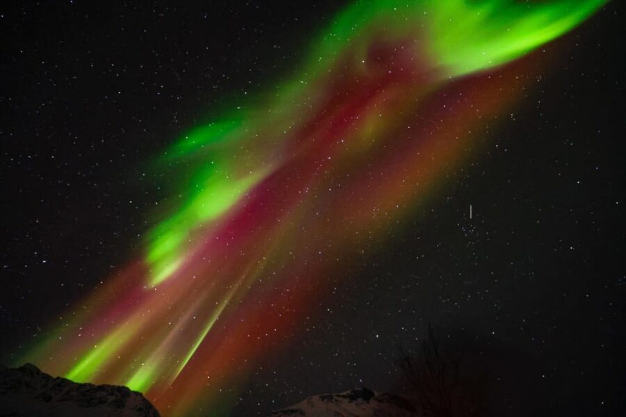 Tromsø Chinese Aurora Tour - Price and value: what $167 buys you in real terms