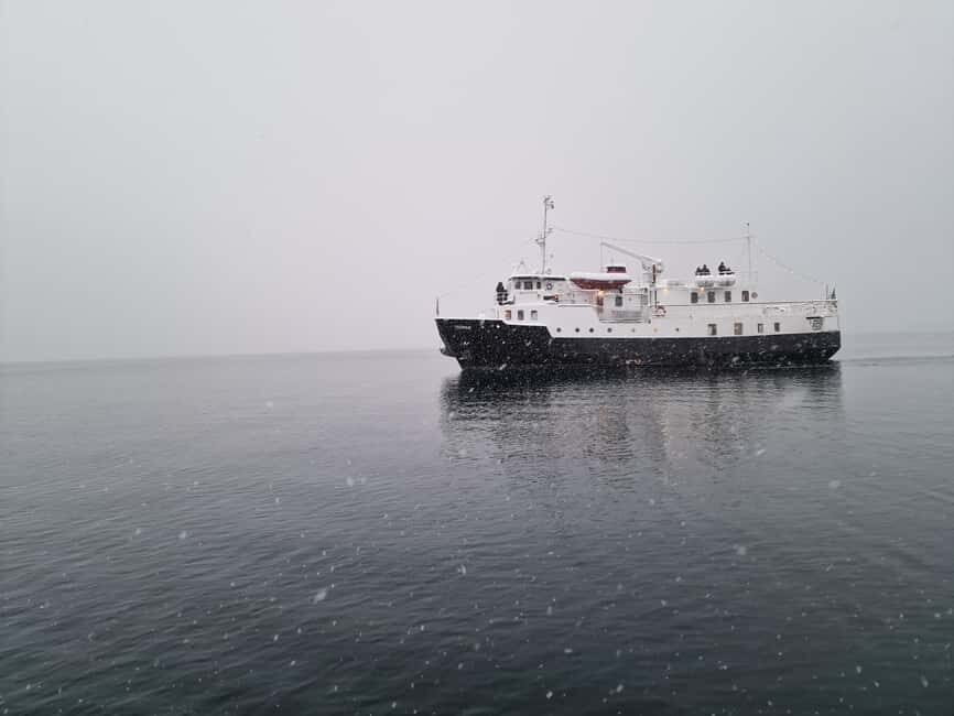 Tromsø: Classic arctic fjord cruise with lite lunch - Key things you’ll notice on this Tromsø fjord cruise