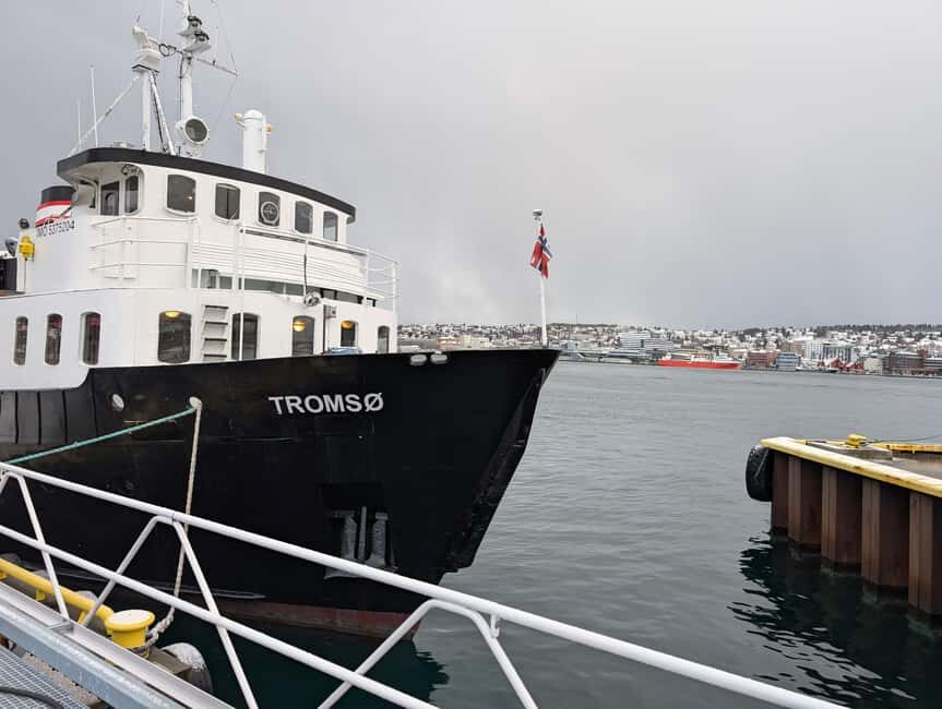 Tromsø: Classic arctic fjord cruise with lite lunch - The 4.5-hour rhythm: how this cruise stays fun, not rushed