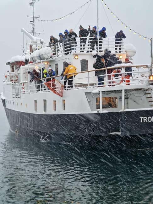 Tromsø: Classic arctic fjord cruise with lite lunch - Price and value: is $103 a fair deal for Tromsø half-day time?