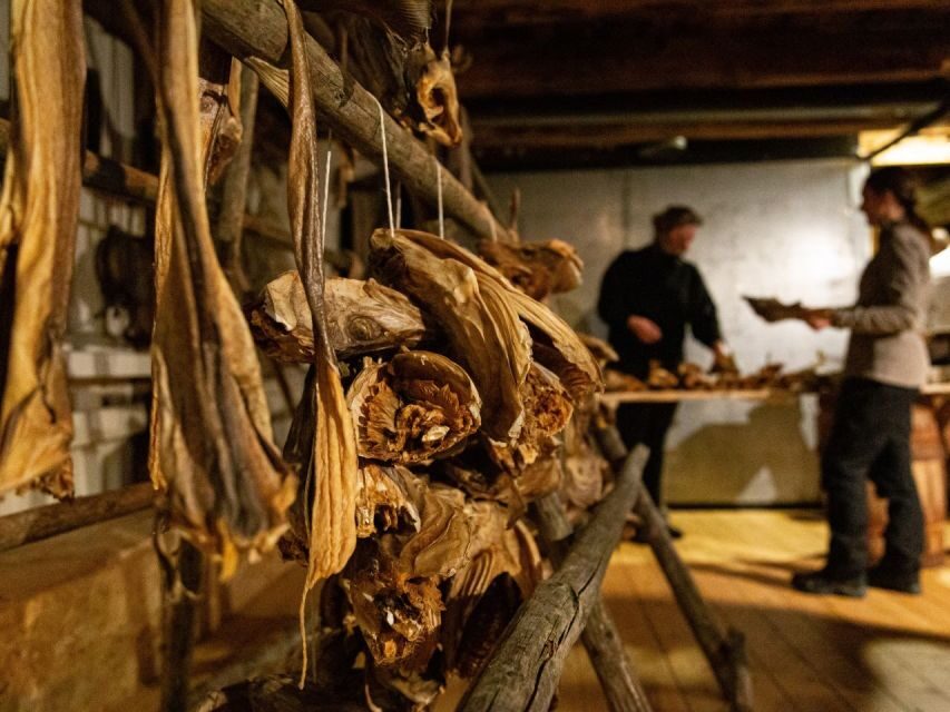 Tromso: Cod-Tasting Tour with Full Steam Museum Entry - Price and value: $68 for 45 minutes, plus museum time