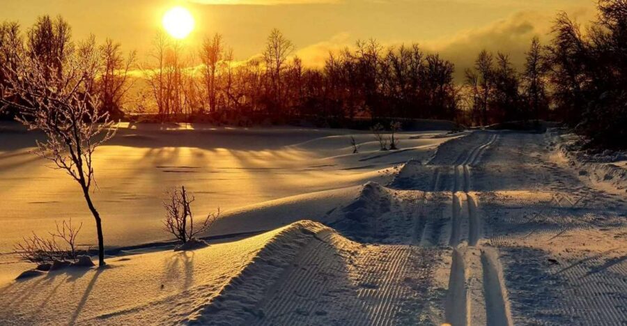 Tromsø: Cross Country Guided Skiing Course - Gear and clothing: how to stay warm without overpacking