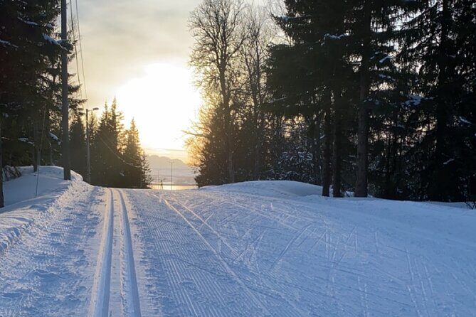 Tromsø Cross-Country Ski Adventure - Key Highlights Worth Noting