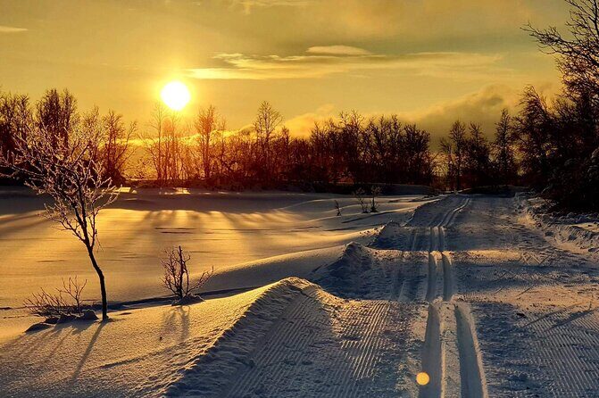 Tromsø Cross-Country Ski Adventure - Why Langrenn Around Tromsø Feels Like Norway in Miniature