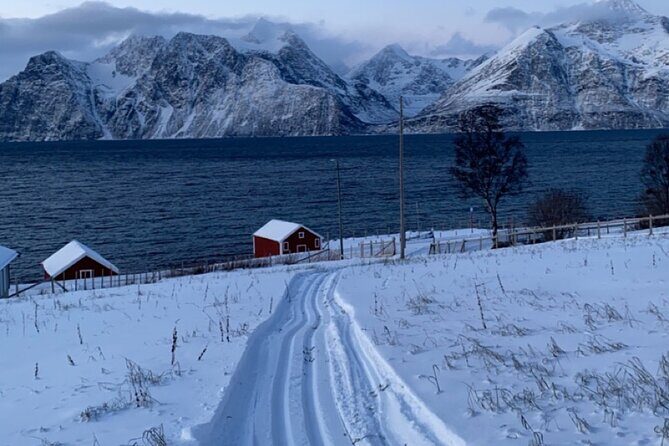 Tromsø Cross-Country Ski Adventure - Hitting the Trails: Fjords, Forest, and Mountain Viewpoints