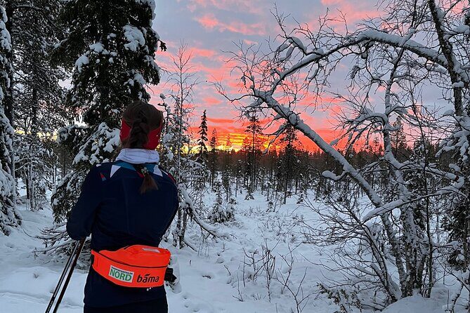 Tromsø Cross-Country Ski Adventure - Who This Cross-Country Ski Tour Is Best For