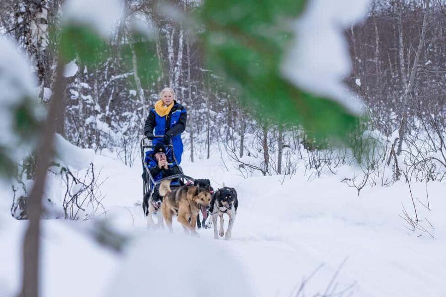 Tromsø: Dog Sledding Adventure at Camp Aspemo - Warm Clothes and Boots: The Gear Check That Saves Your Trip