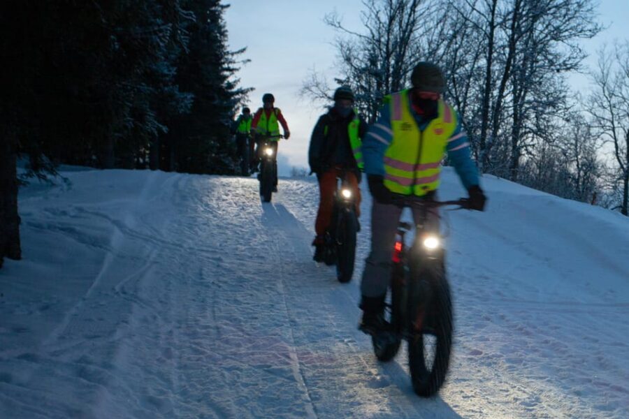 Tromsø: Electric fatbike trip on winter paths - Tromsømarka in winter is the whole point