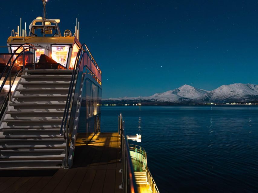 Tromsø: Electric Northern Lights Cruise - Who this cruise suits best (and who might want a different style)