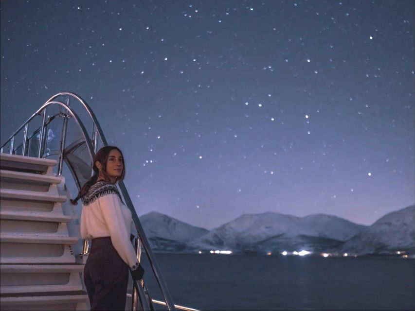 Tromso Electric Northern Lights Cruise - Price and value: Is $127.86 per person a smart buy?