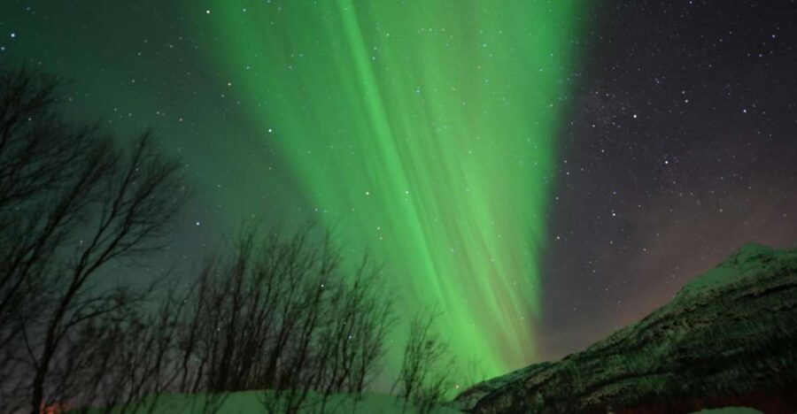 Tromsø: English/Spanish Aurora Pathfinder Tour with Photos - Key highlights you’ll feel right away