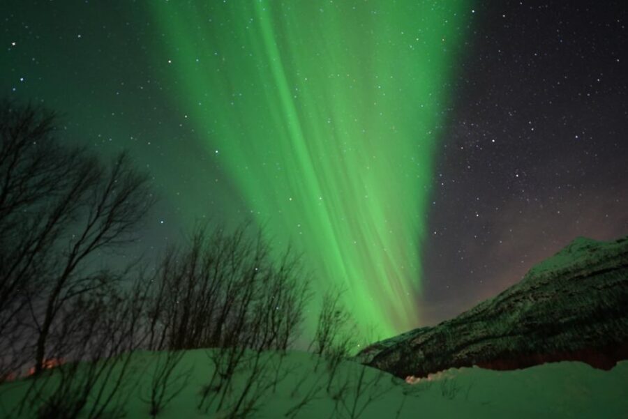 Tromsø: English/Spanish Aurora Pathfinder Tour with Photos - Price and value: what about $172.23 buys you