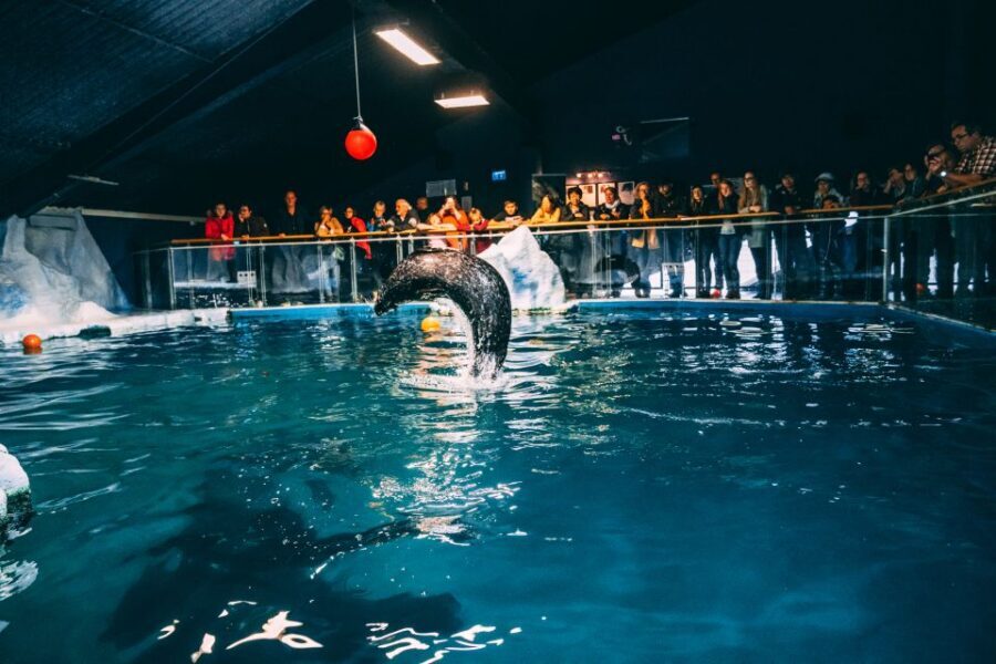 Tromsø: Entrance Ticket to Polaria - The aquarium: small tanks, smart variety, and good viewing