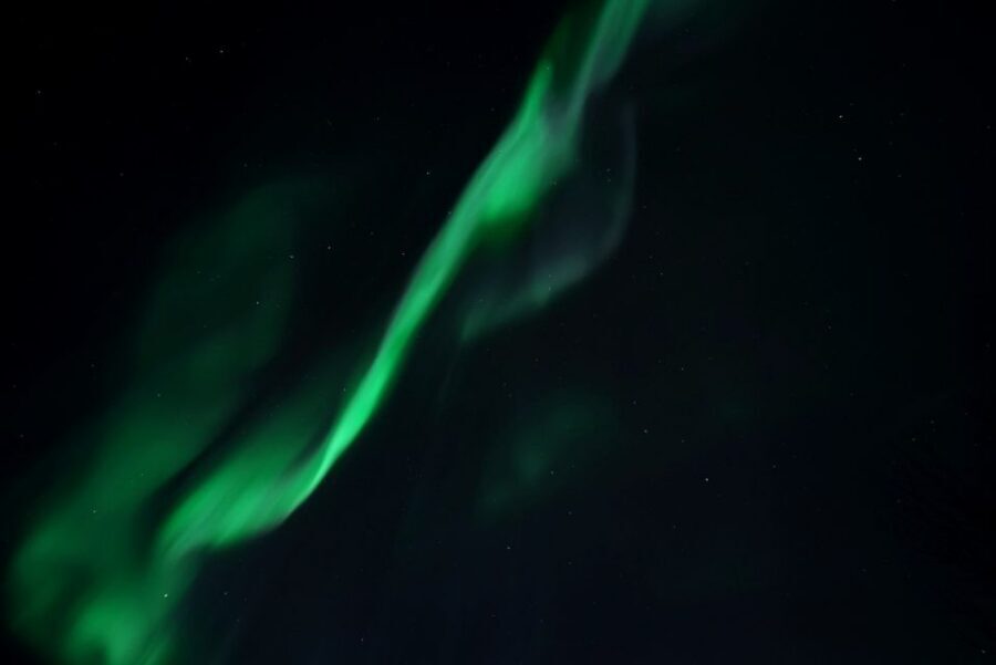 Tromsø: Evening Aurora Cruise (dinner optional) - Key things to know before you book