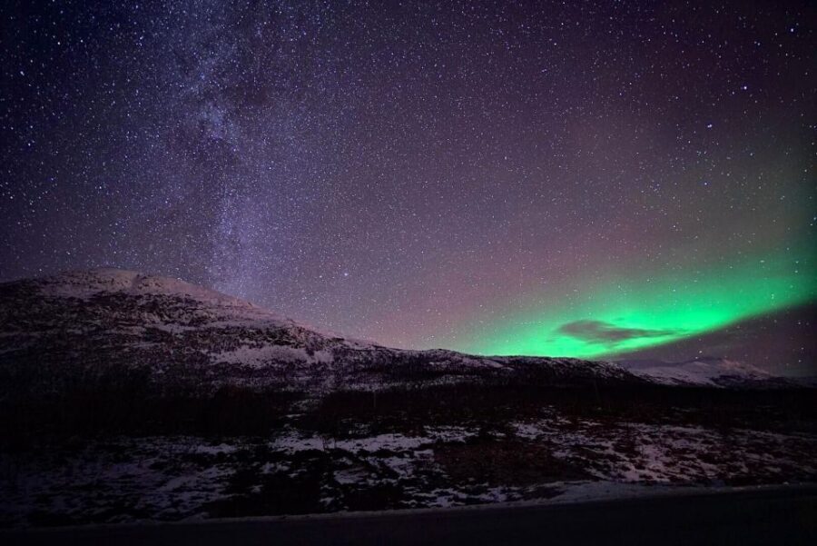 Tromsø: Evening Aurora Cruise (dinner optional) - Tromsø at 20:00: Meeting Polar Adventures and Getting Suited Up