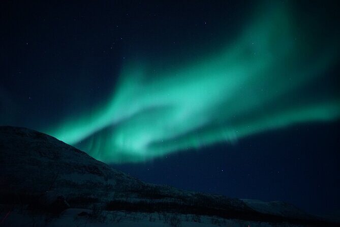 Tromsø: Evening Cruise with Northern Lights Opportunity - The deal on comfort: small boat, big cold
