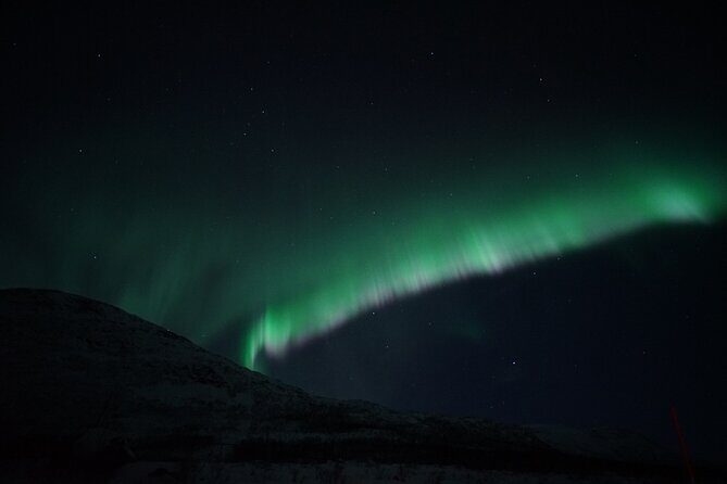 Tromsø: Evening Cruise with Northern Lights Opportunity - Key points before you go