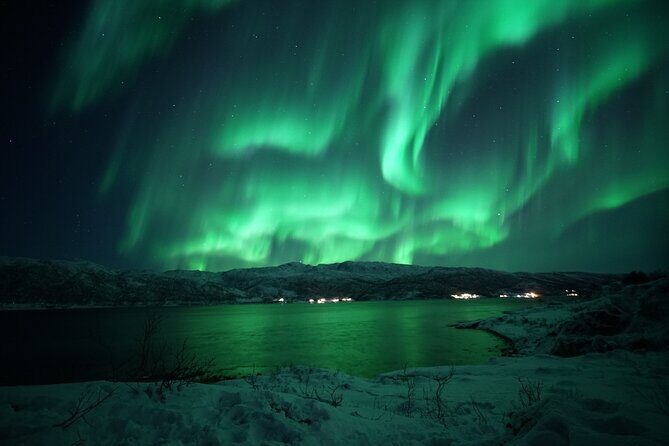 Tromsø: Evening Cruise with Northern Lights Opportunity - The 8:00 pm timing: what 3.5 hours really buys you