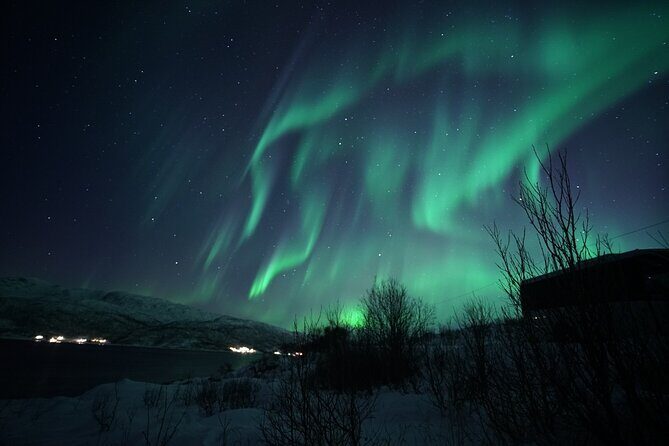 Tromsø: Evening Cruise with Northern Lights Opportunity - Stop-by-stop: what happens once you’re on Tromsø’s pier
