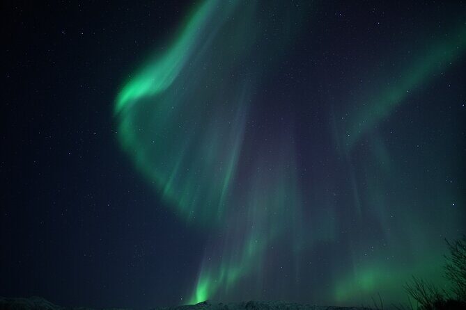 Tromsø: Evening Cruise with Northern Lights Opportunity - Night on the Water: why this Tromsø cruise feels different