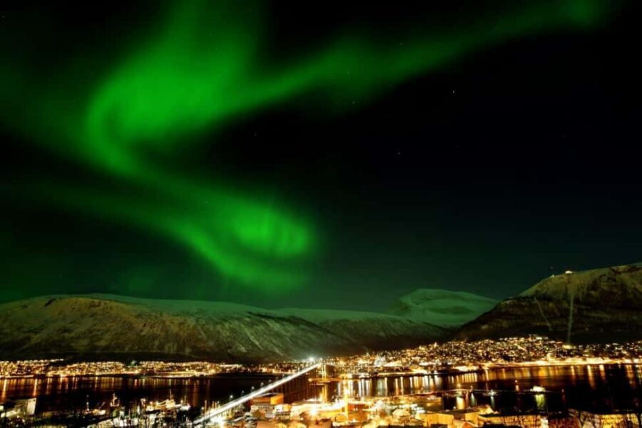 Tromsø: Evening dinner cruise with possible northern lights - A Classic Tromsø Night Cruise, Built Around the Odds