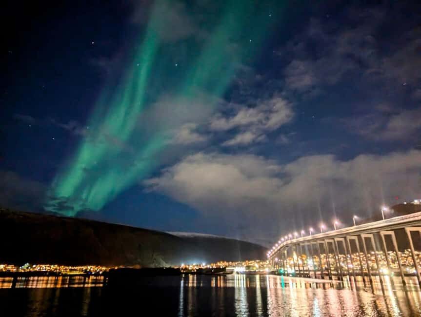 Tromsø: Evening dinner cruise with possible northern lights - Getting Oriented: Check-In, Welcome Drink, Then Out to Chase