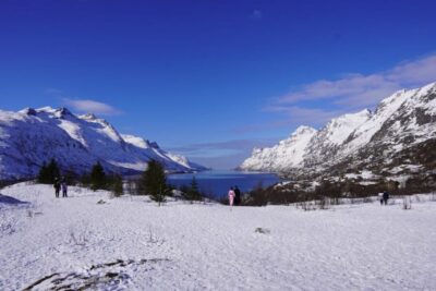 Tromsø: Exclusive Fjord Adventure by Bus - Whale Island views by bus: where the fjords, beaches, and lakes connect