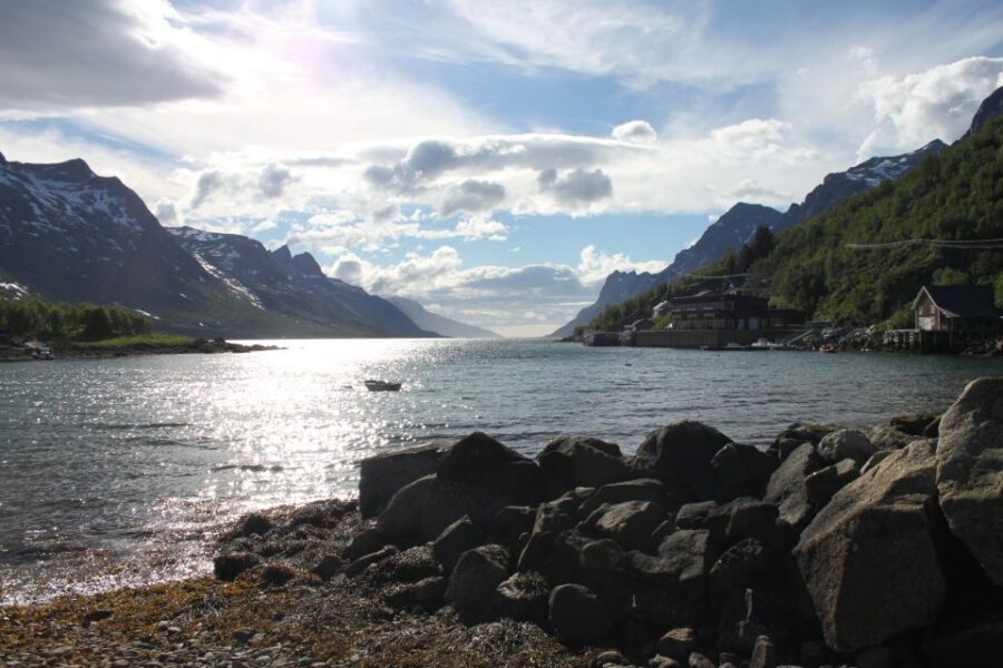 Tromsø: Exclusive Fjord Adventure by Bus - What the guide adds: history, life with fjords, and smart pacing