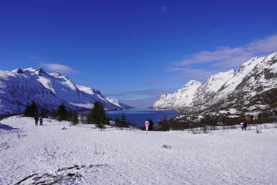 Tromsø: Exclusive Fjord Adventure by Bus - Whale Island views by bus: where the fjords, beaches, and lakes connect
