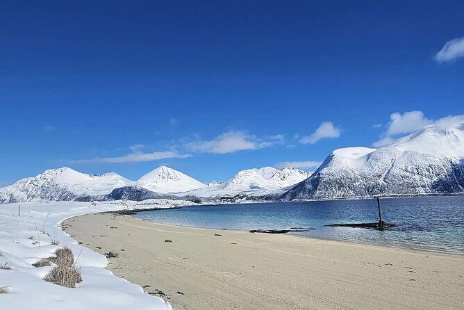Tromso Excursion Artica Fjords and Sommaroy Islands with lunch - Kaldfjord photo stop: quick, scenic, and built for eagle or reindeer spotting