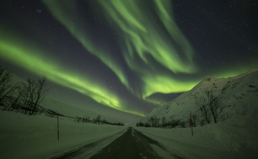 Tromsø: Expert Aurora Hunt - Thermal Gear, Food, Campfire - Who This Tour Suits Best (and Who Should Skip It)